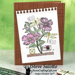 A brown greeting card with pink dogwood flowers, two dragonflies, a ladybug, and "hello" sentiment.
