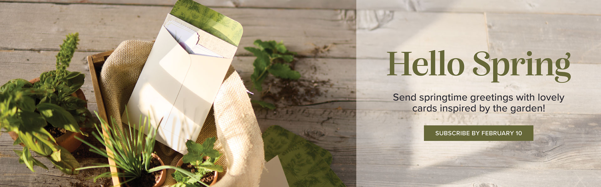 An envelope sits among plants in a basket. To its right is text that reads, "Hello Spring. Send springtime greetings with lovely cards inspired by the garden!"