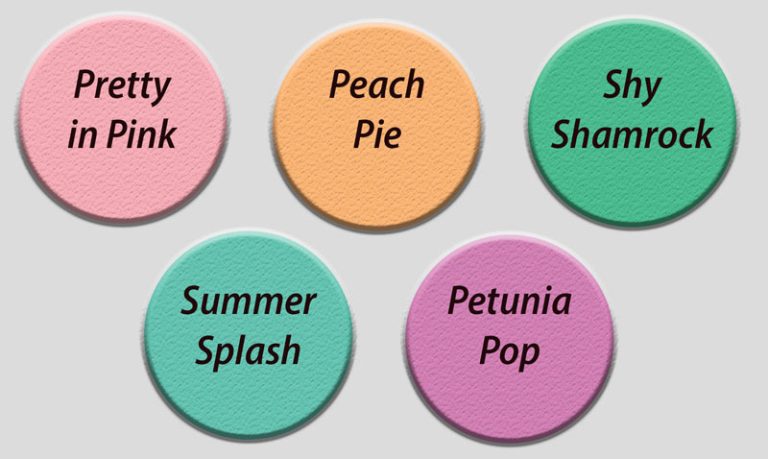 Five circles in various colors.