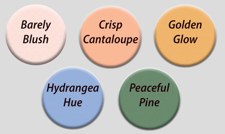 Five circles in various colors.