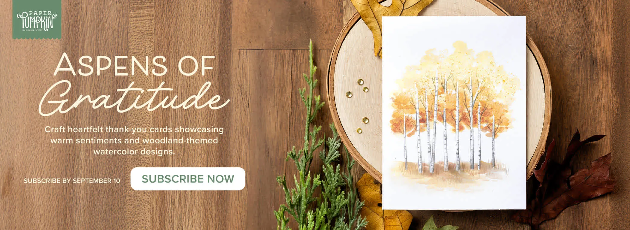 A greeting card with trees on it sits on a tree stump. Next to it is written, "Aspens of Gratitude." Subscribe now.